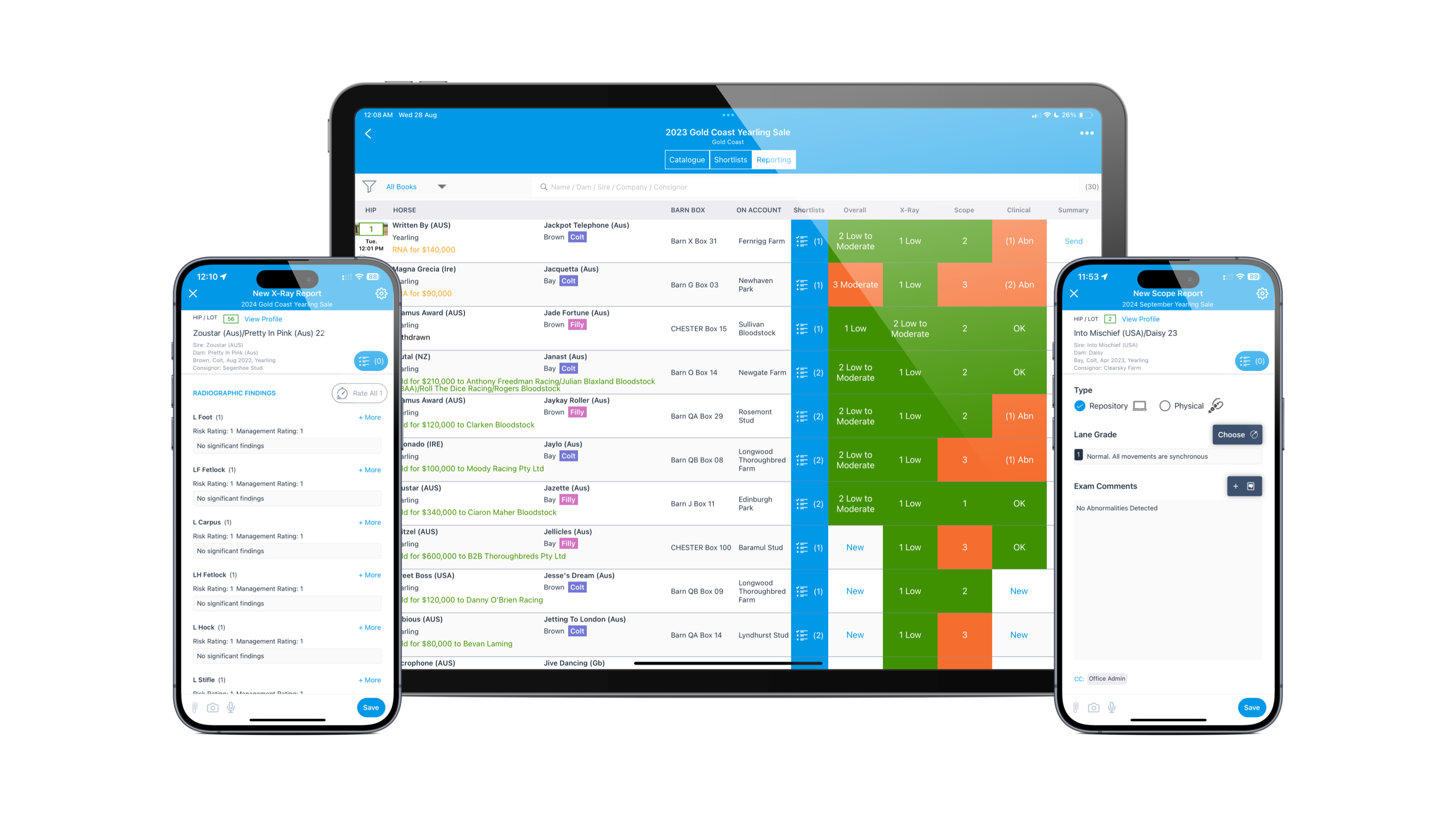 ThoroughWorks Scope and X-Ray Summary
