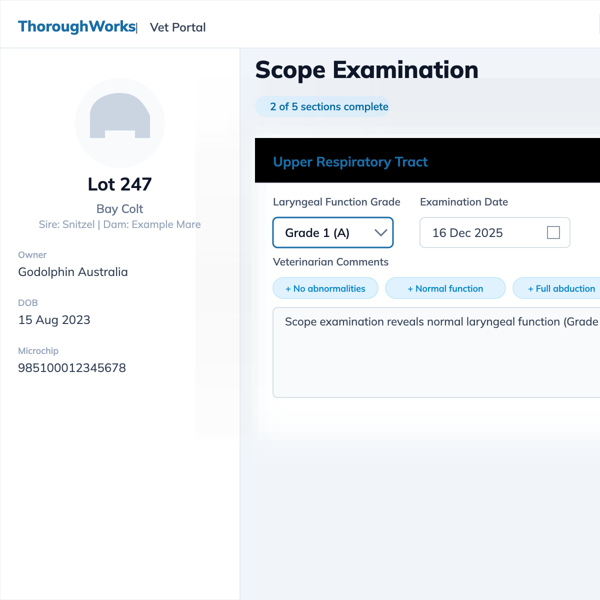 ThoroughWorks Vet Reports Access